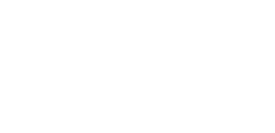 Co-Mover